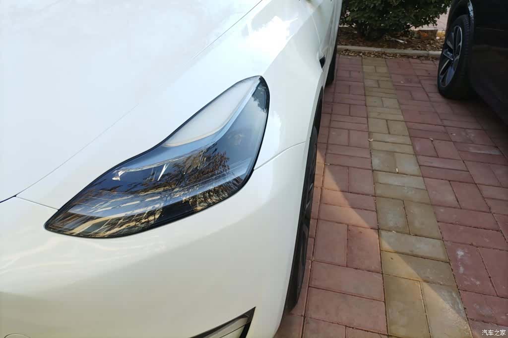 Tesla Model Y, 2024 все фото