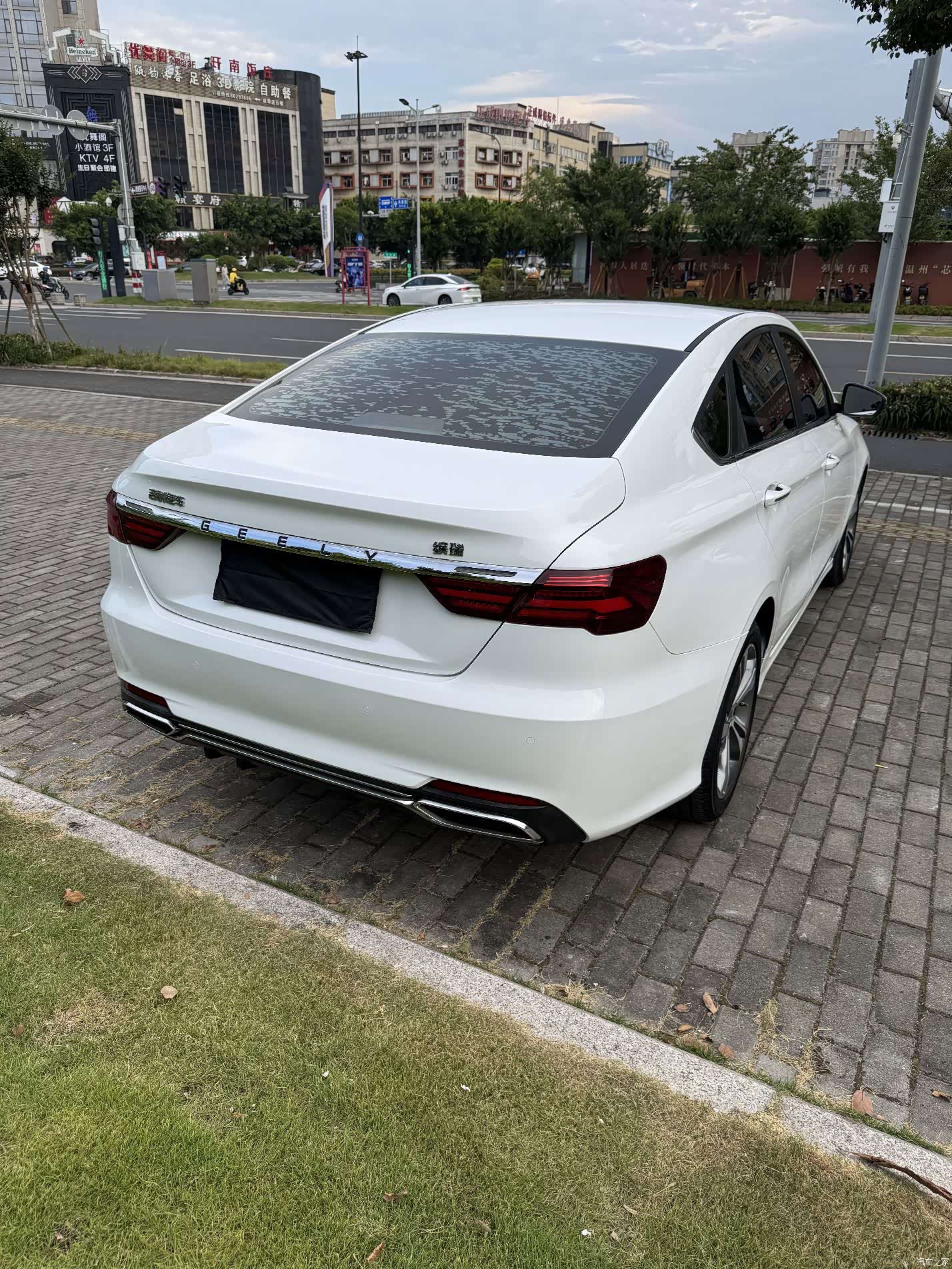 Geely Binray, 2020 8