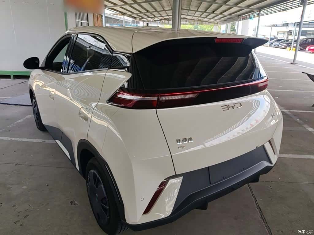 BYD Seagull, 2024 все фото