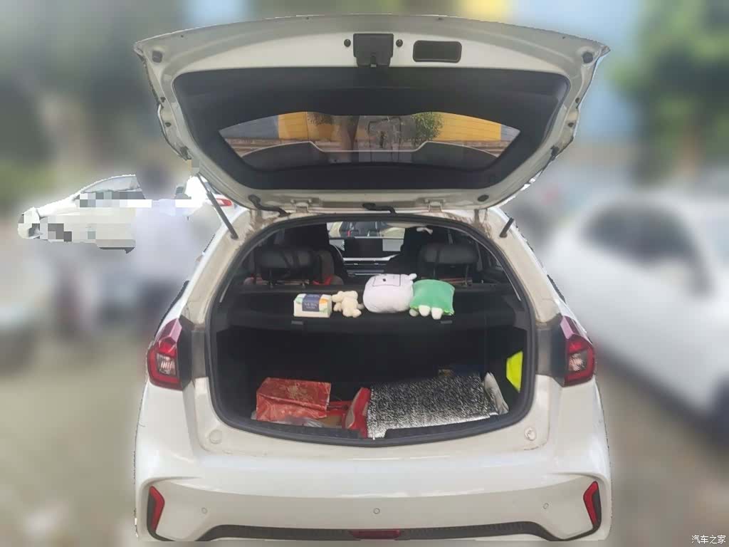 Geely X3, 2021 10