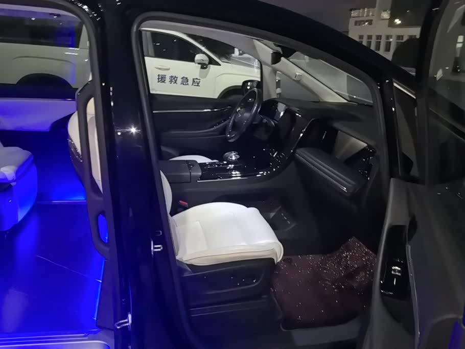 Trumpchi Trumpchi E9