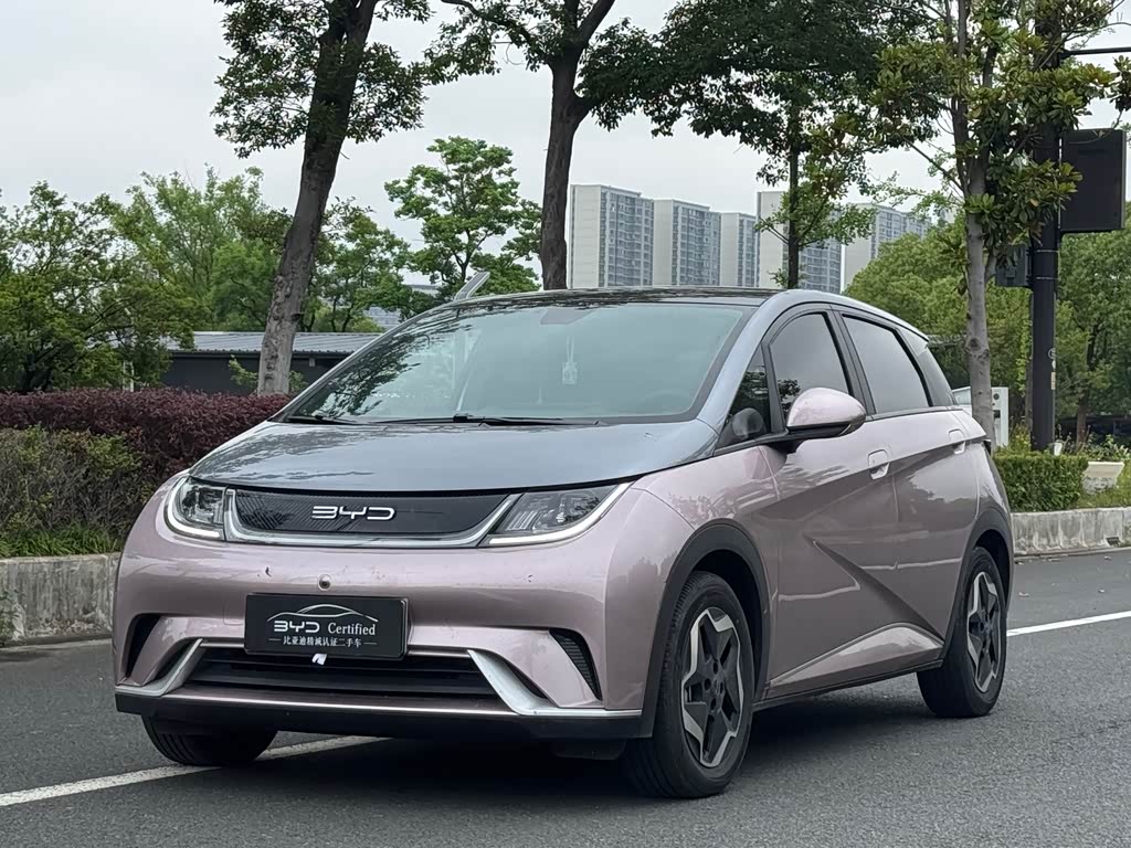 BYD Dolphin