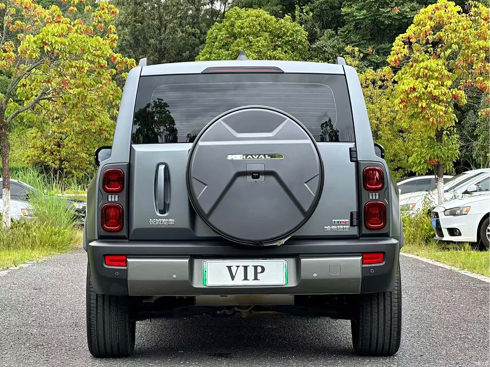 Haval Raptor, 2024 все фото