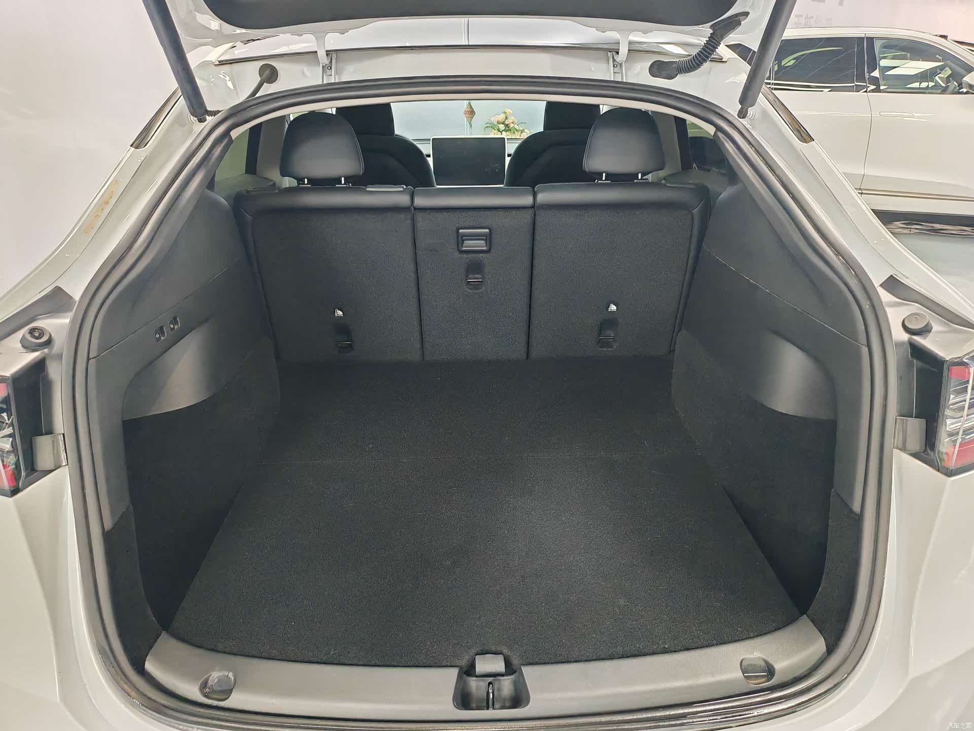 Tesla Model Y, 2024 10