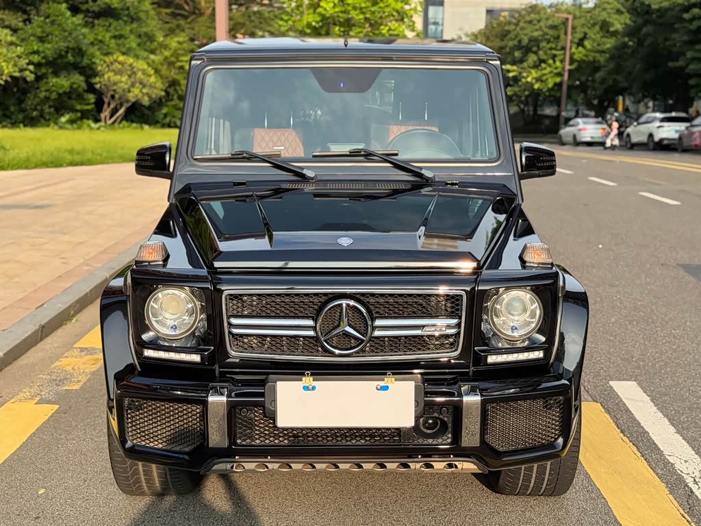 Mercedes-Benz G-Class AMG G AMG 2016 AMG G 63 Edition 463