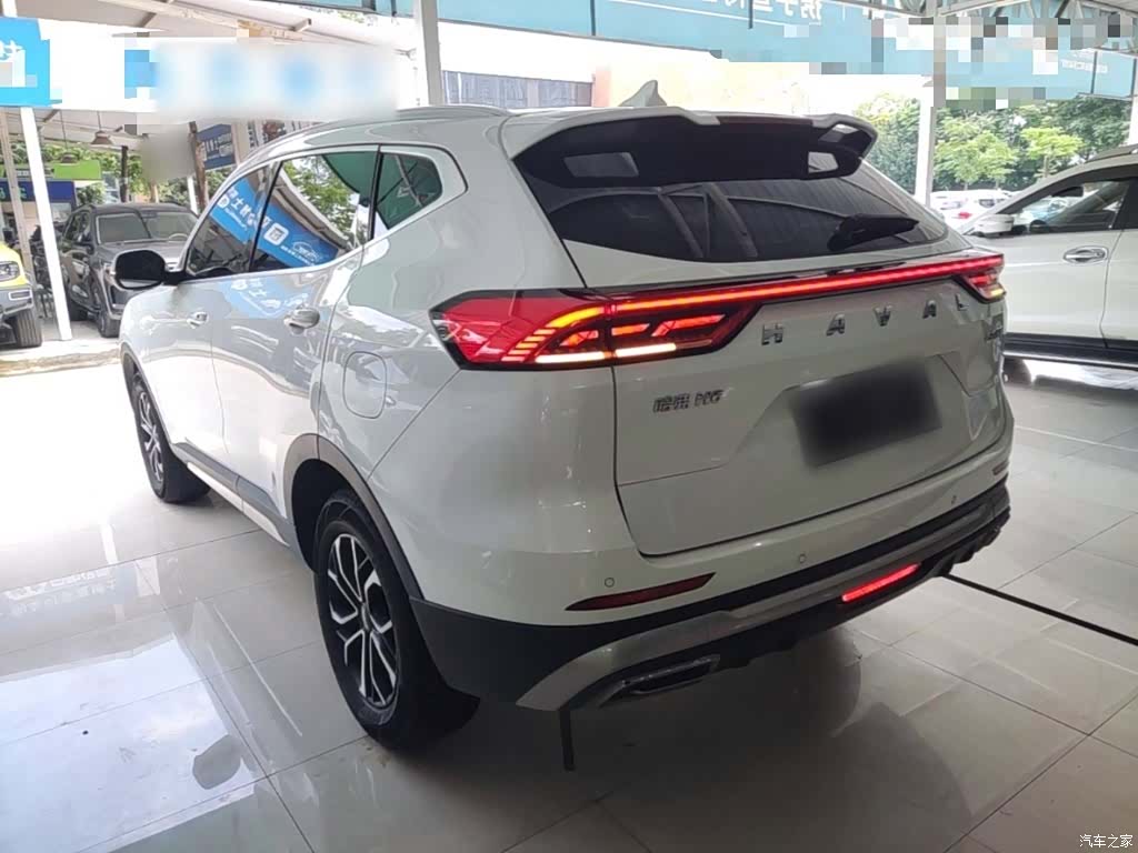 Haval H6, 2024 все фото