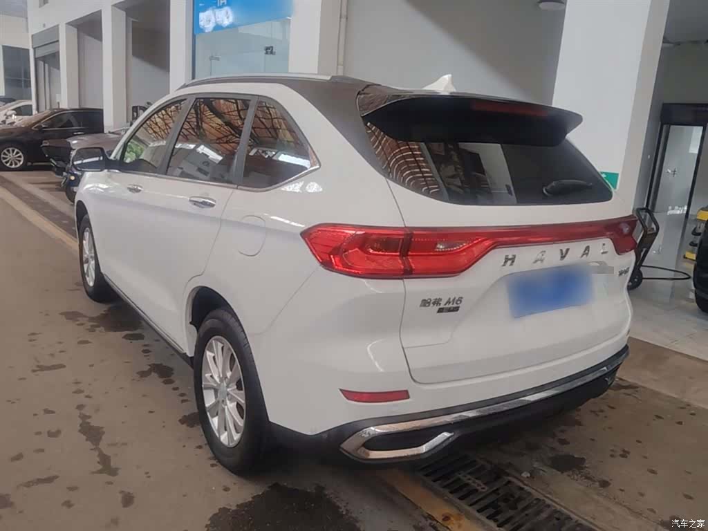 Haval M6, 2021 все фото