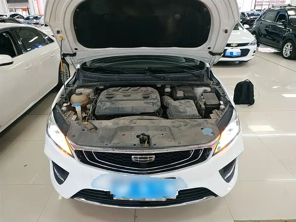Geely Binrui