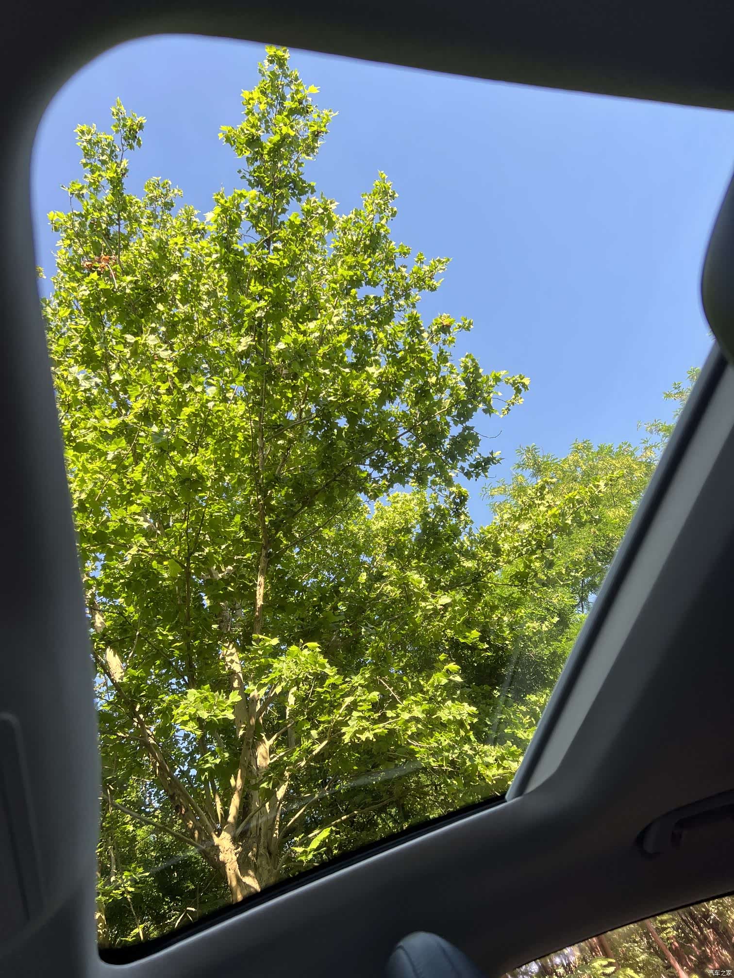 Ford Focus, 2020 15