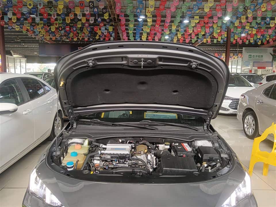 Trumpchi Shadow Leopard