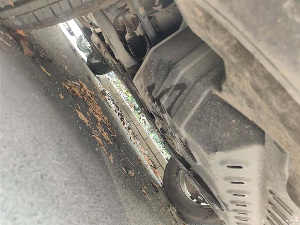 Bisu T3, 2019 23