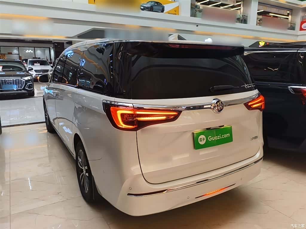 Buick GL8, 2022 все фото