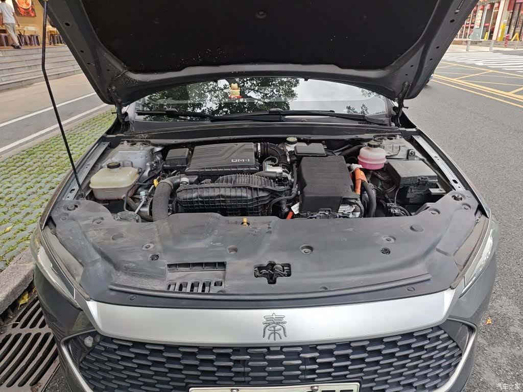 BYD Qin, 2023 11