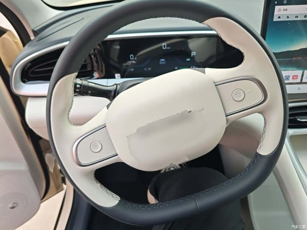 Geely Xingyuan, 2026 11