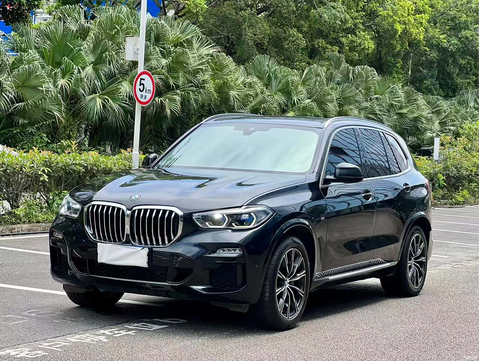 BMW X5, 2019 1
