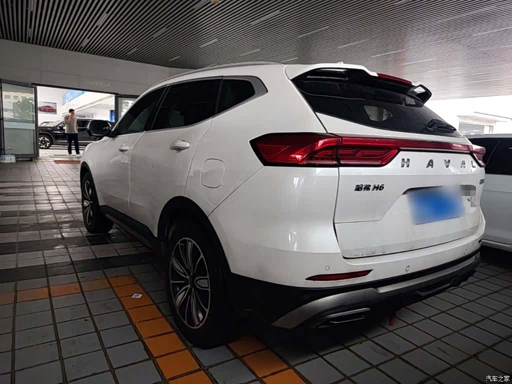 Haval H6, 2024 все фото