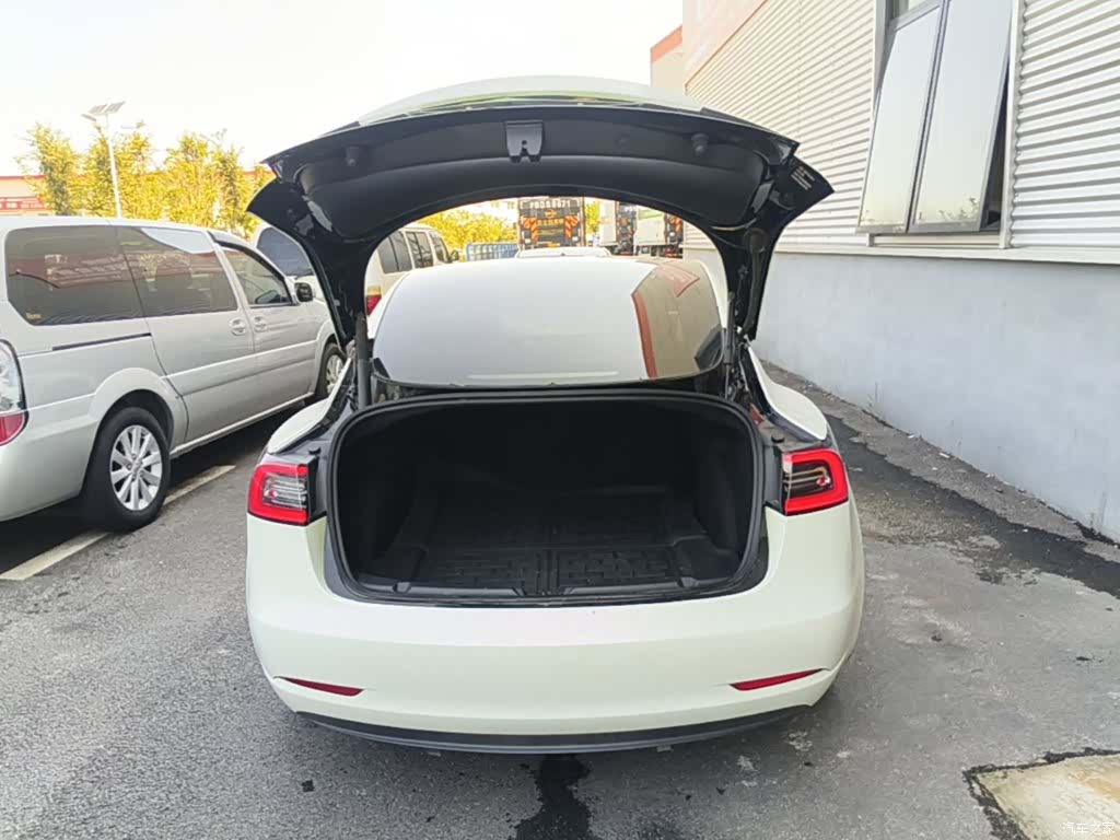 Tesla Model 3, 2021 19
