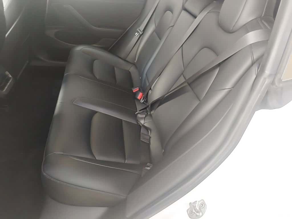 Tesla Model 3, 2020 17