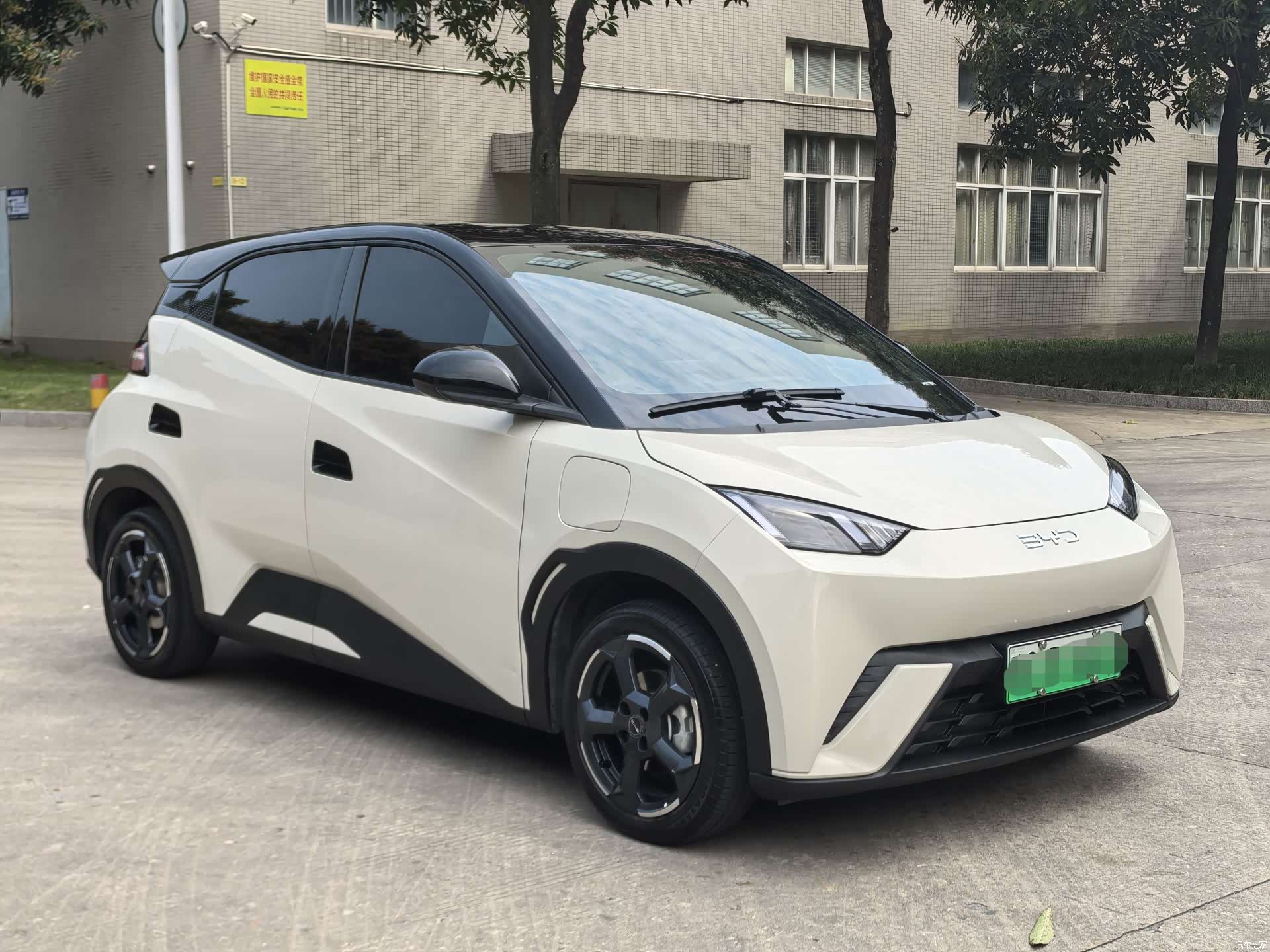 BYD Seagull, 2024 3