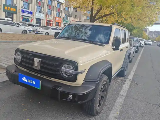 Tank Tank 300 2025 — купить из Китая под заказ