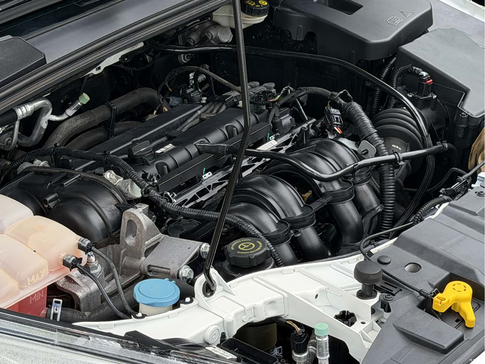 Ford Focus, 2019 3