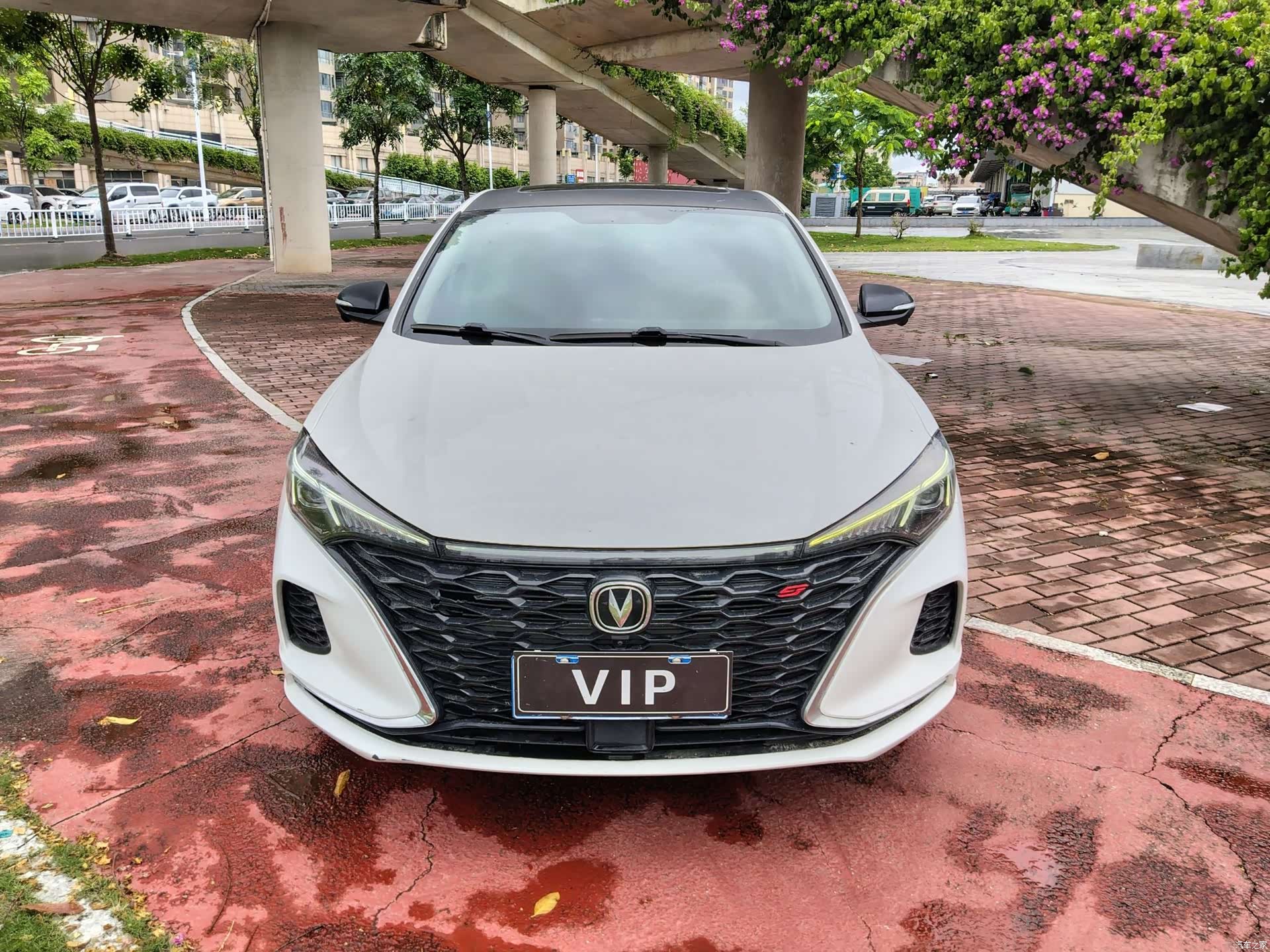Changan Eado, 2021 2
