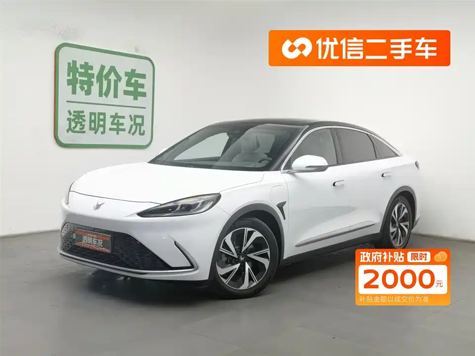 ARCFOX Polar Fox Alpha S