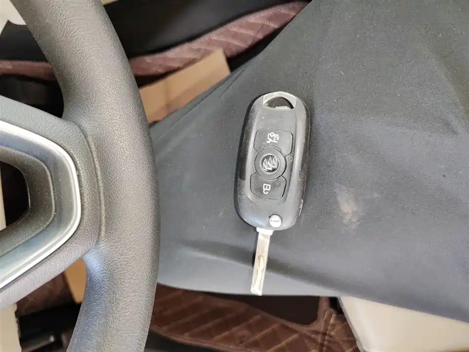 Buick Weilang