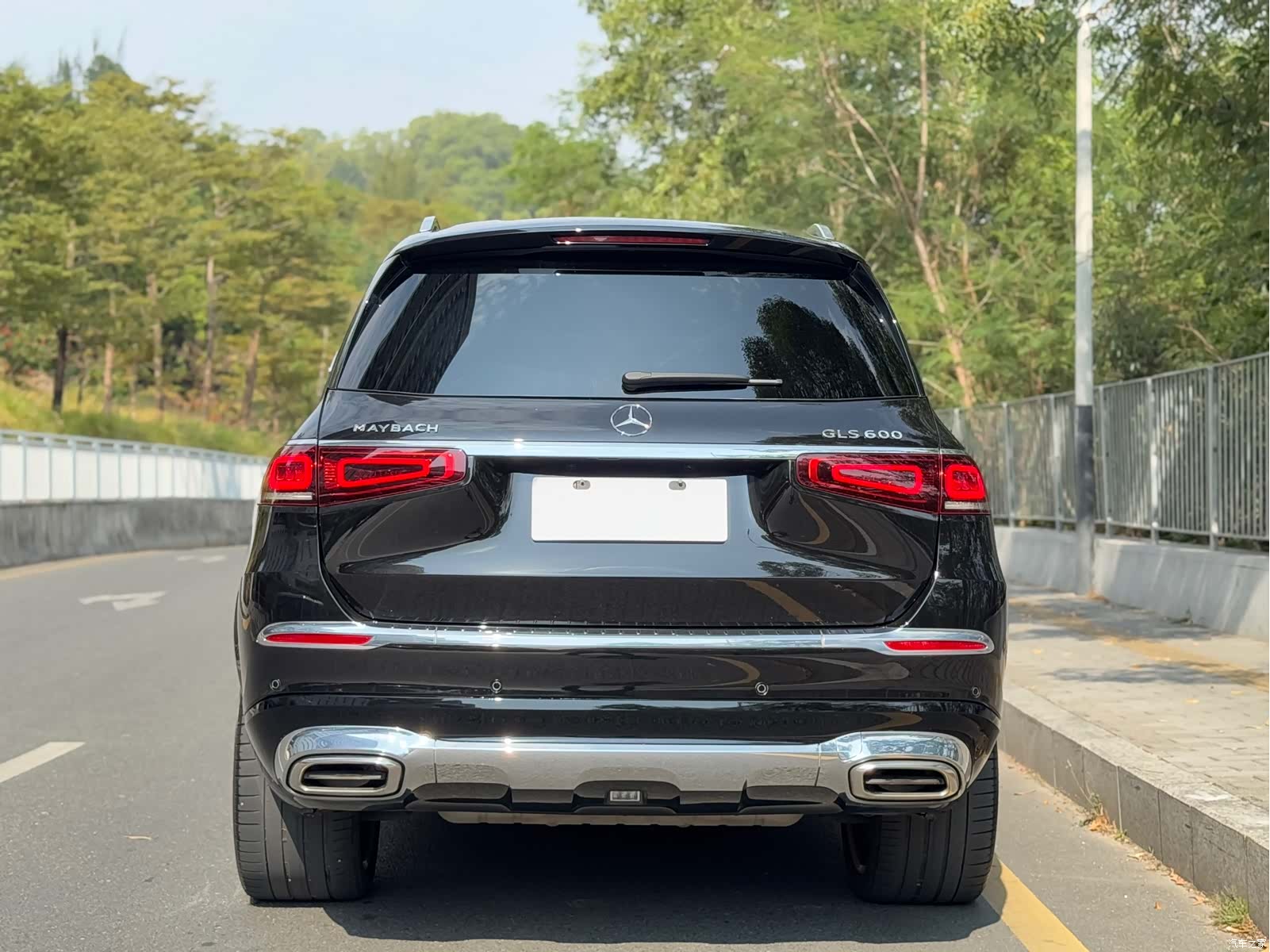 Maybach GLS, 2021 все фото