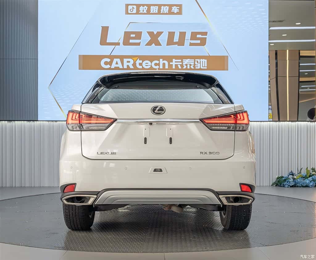 Lexus RX, 2022 все фото