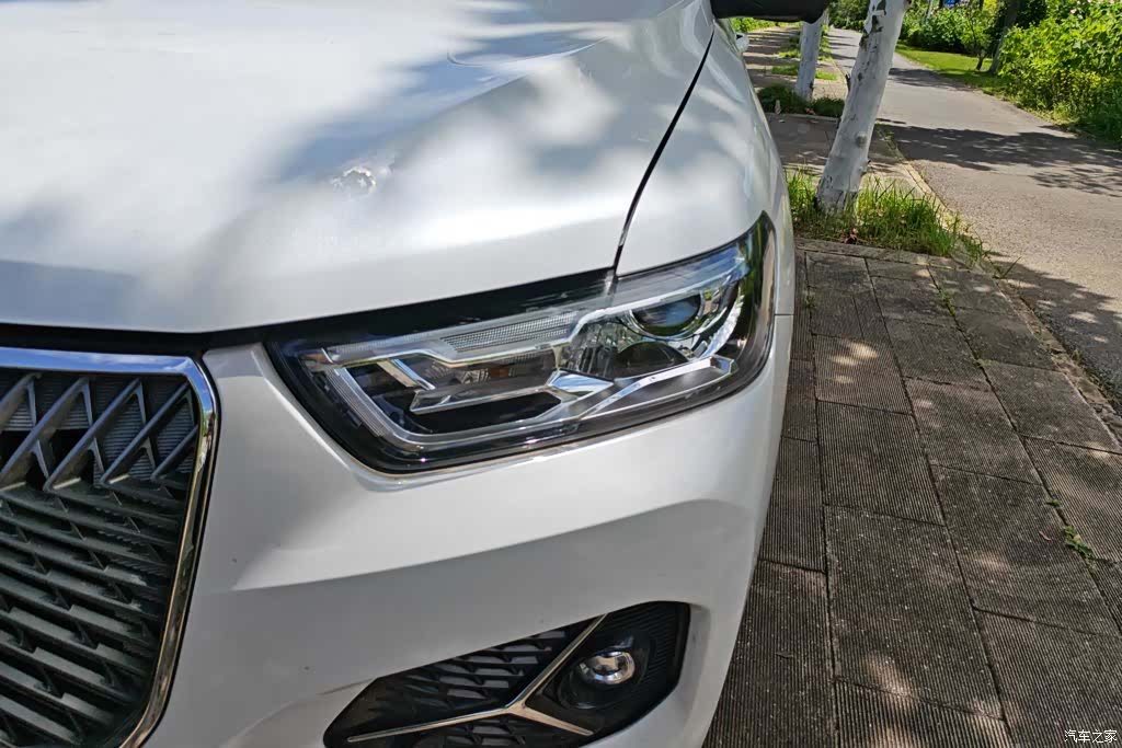 Haval H6, 2020 все фото