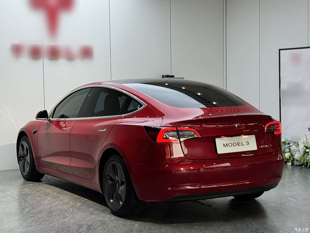 Tesla Model 3, 2020 19