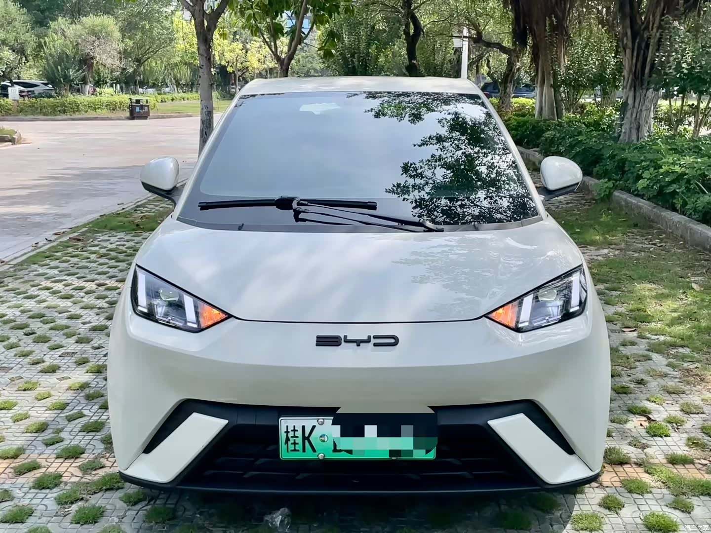 BYD Seagull, 2024 3