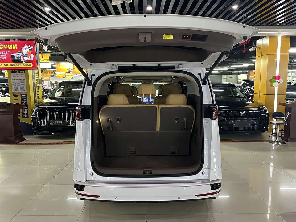 Denza D9 Denza D9