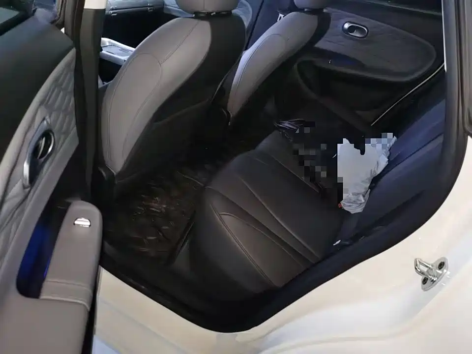 Dongfeng Nammi Nano 01