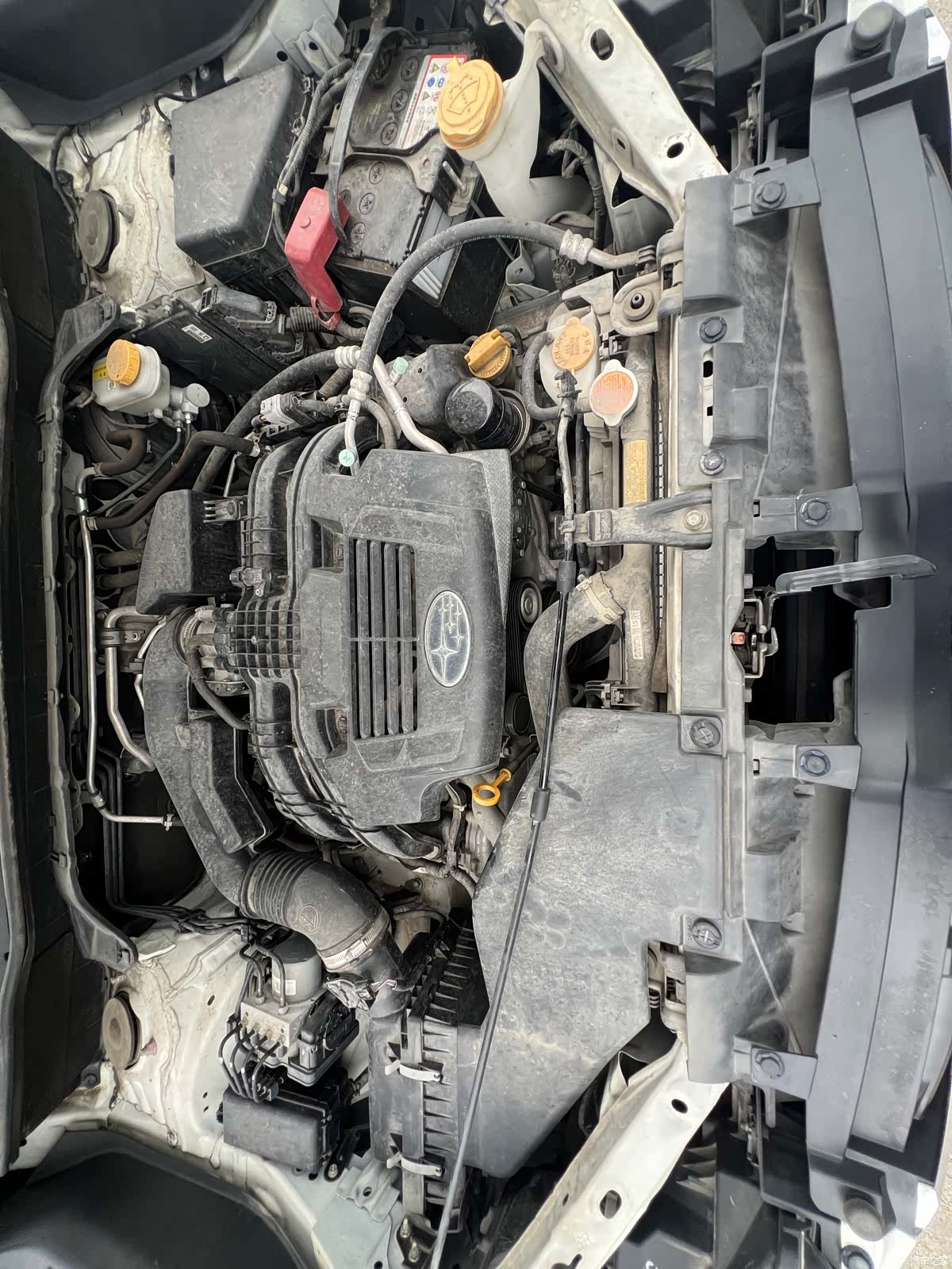 Subaru Forester, 2021 26