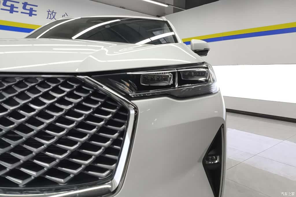 Haval H6, 2024 все фото