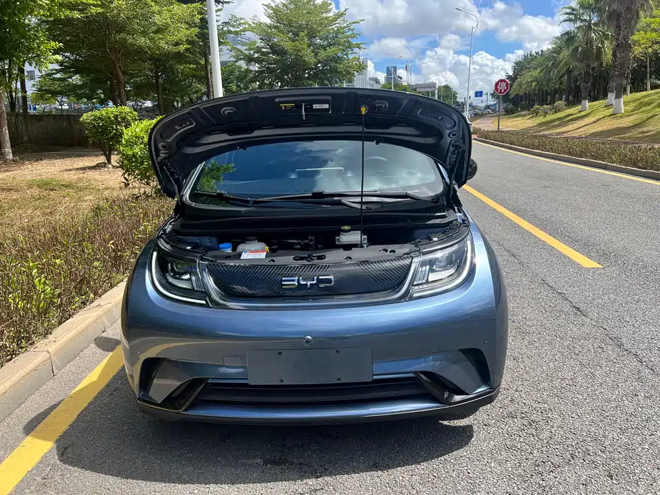 BYD dolphin