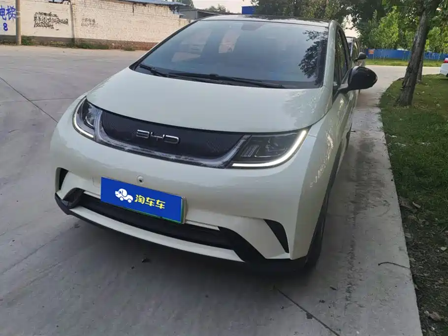 BYD dolphin