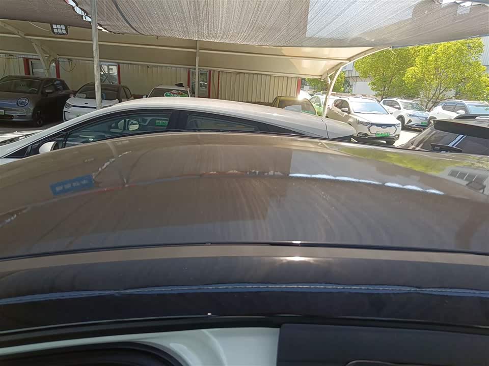 JAC Yttrium is a flower fairy