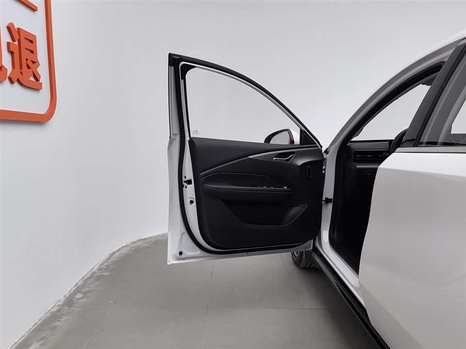 Wuling Wuling Starlight