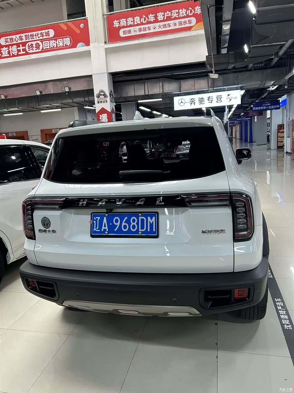 Haval Big Dog, 2021 все фото