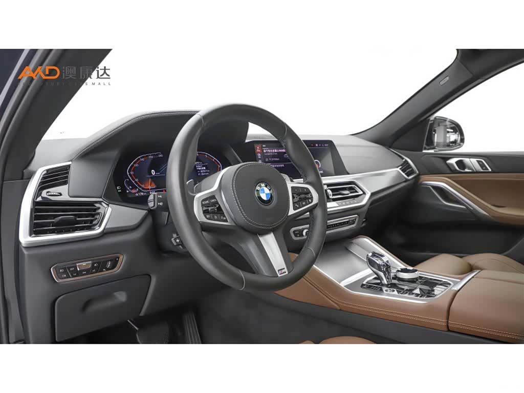 BMW X6, 2021 6