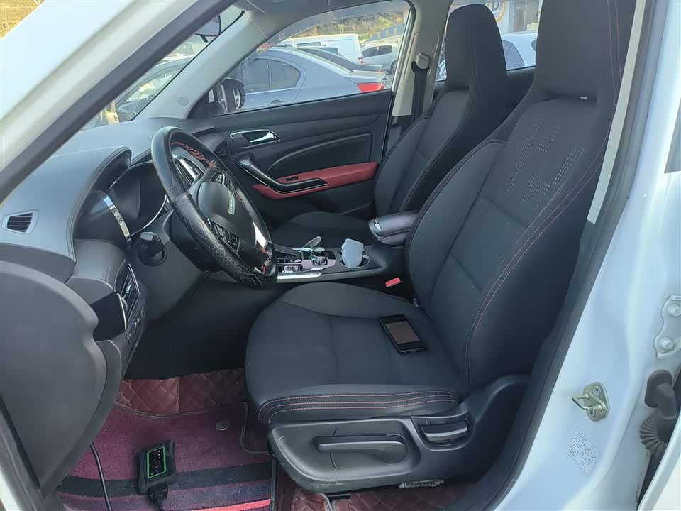 Leopaard Cheetah CS9