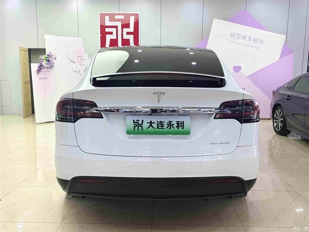Tesla Model X, 2020 все фото