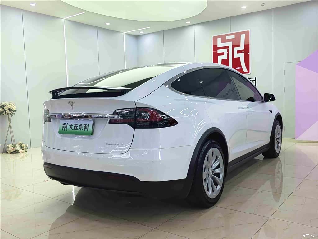 Tesla Model X, 2020 6