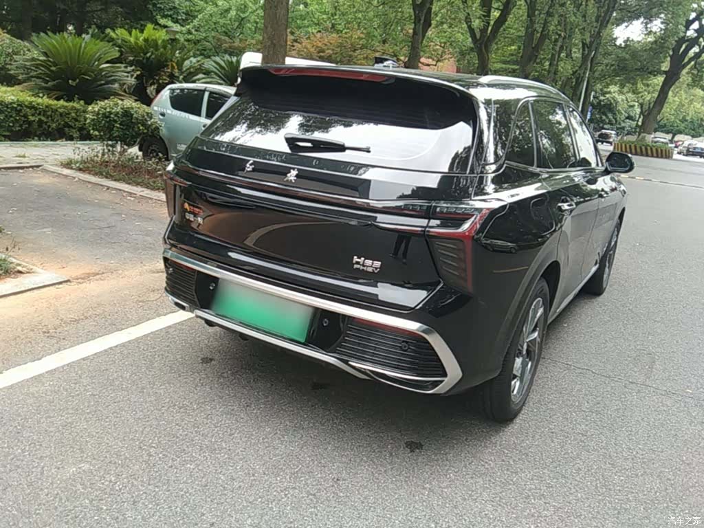 Hongqi HS3, 2024 7