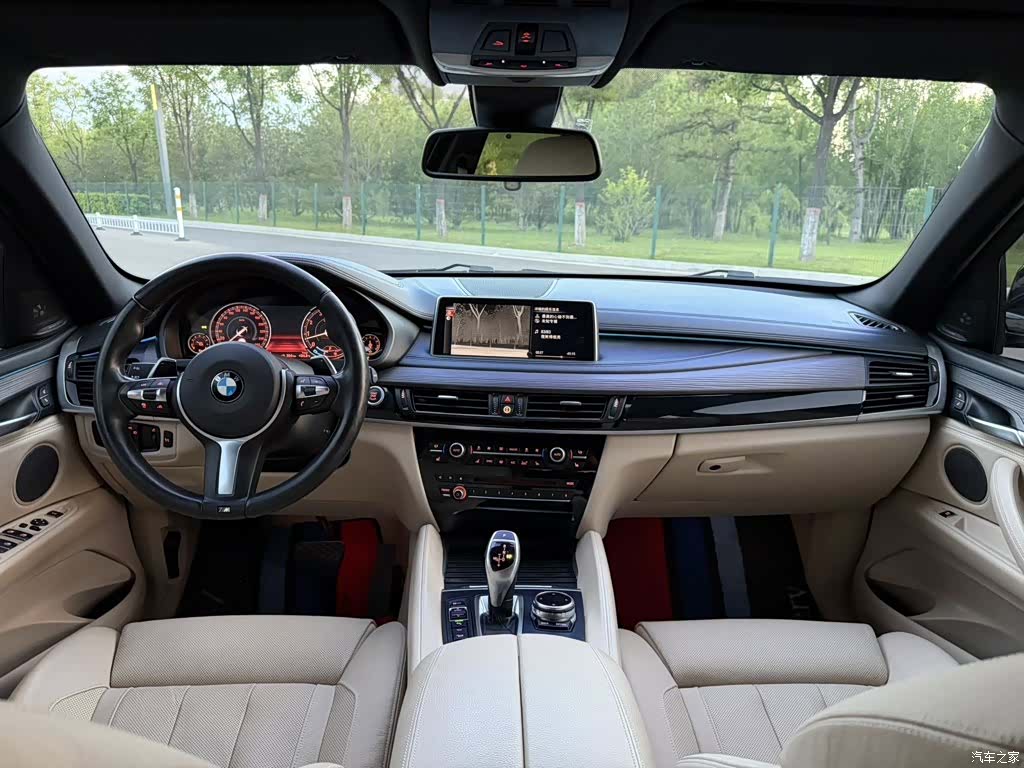 BMW X6, 2017 17