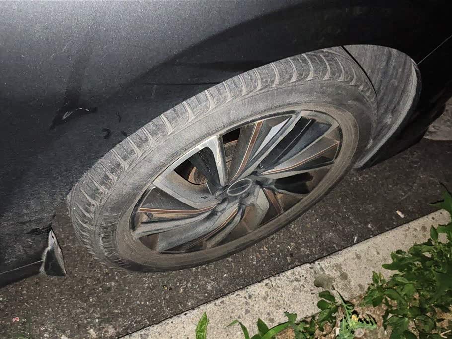 Forthing Popular yachts