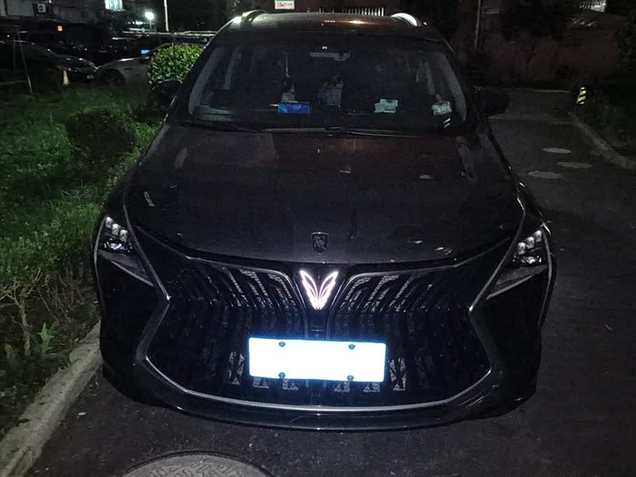 Forthing Popular yachts